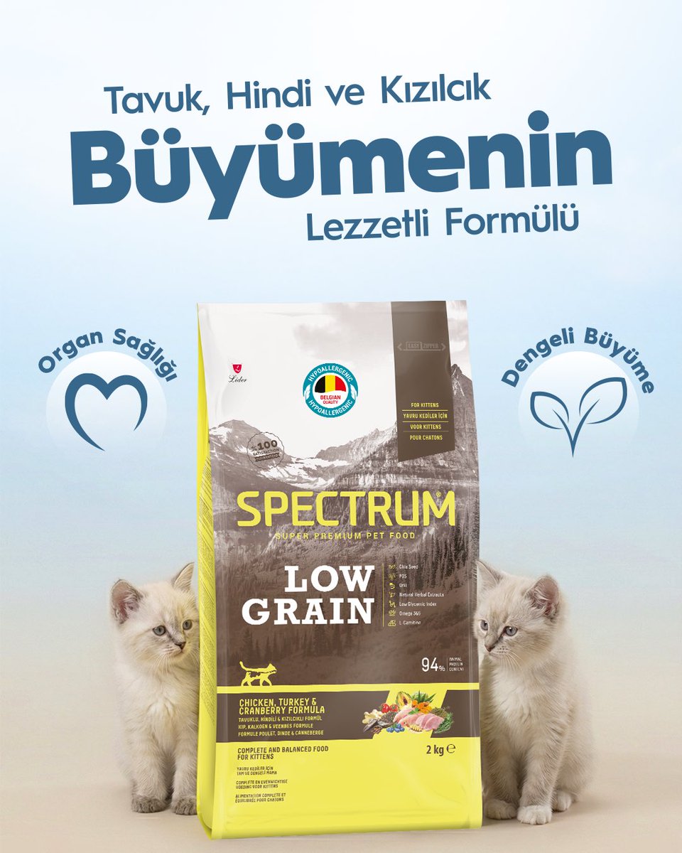 Yavru kedinizin ilk 12 ayı için özel geliştirilen Spectrum Low Grain Kitten; tavuklu, hindili ve kızılcıklı formülüyle organ sağlığını ve idrar yolu sistemini destekler, dengeli ve sağlıklı büyümeye katkı sağlar. Güçlü bir gelecek, doğru beslenmeyle başlar. 🐾

#Spectrum