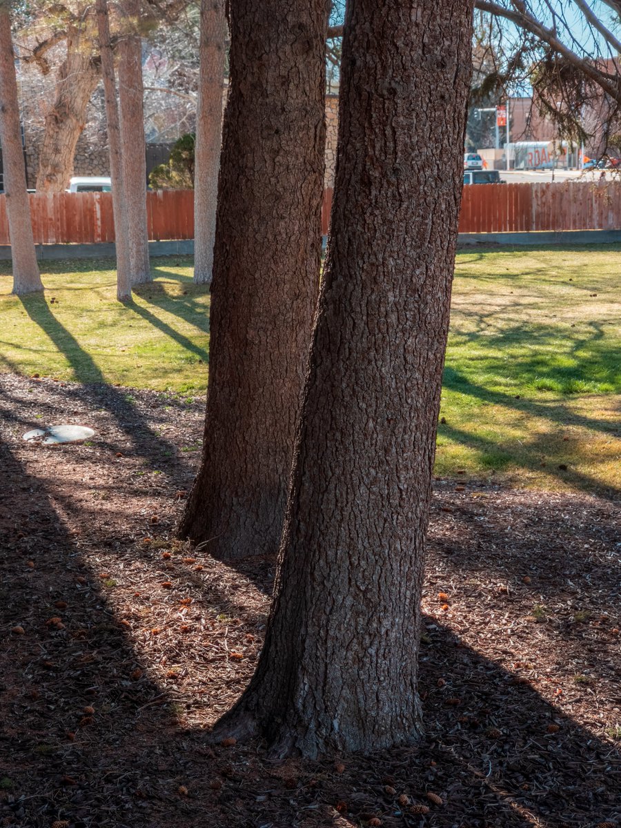 Fahim Al Mahmud Ashik tweet media