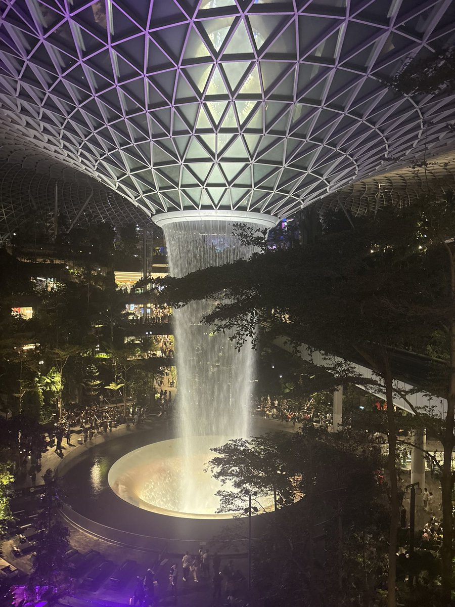 EmmaLL95's tweet photo. Changi is literally the coolest airport ever, thank you Singapore https://t.co/3Yg0UsPSKt