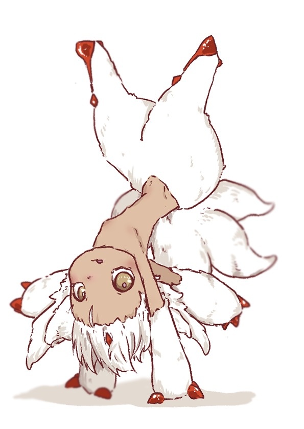 Daily-Faputa tweet media