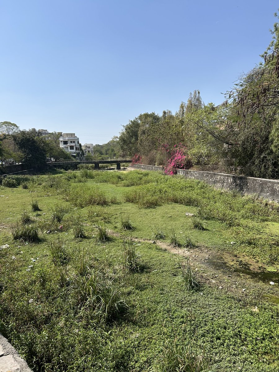 DenmarkinIndia's tweet image. Interesting visiting to the Gumania Nala canal today in #Udaipur where Aarhus Municipality in Denmark is working with the city of Udaipur on river rejuvenation focusing on demonstrating how nature-based solutions can improve urban water management and liveability 🇩🇰🇮🇳💦