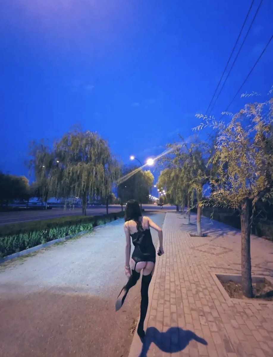 小白龙 tweet media