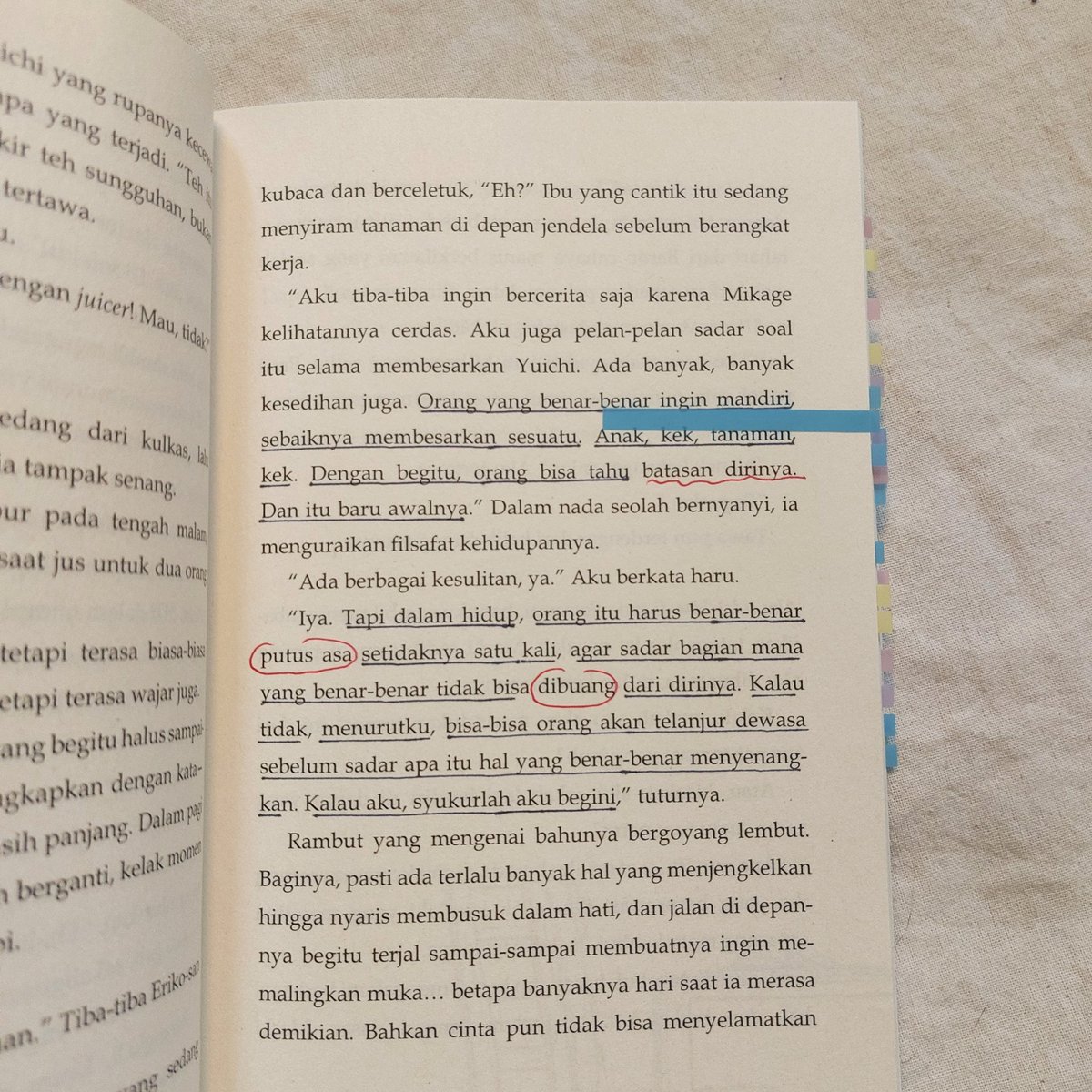 ᥣ𝖾𝖾. tweet media