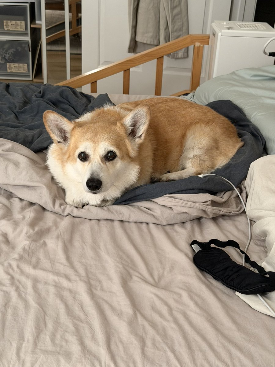 캡틴 일기 tweet media