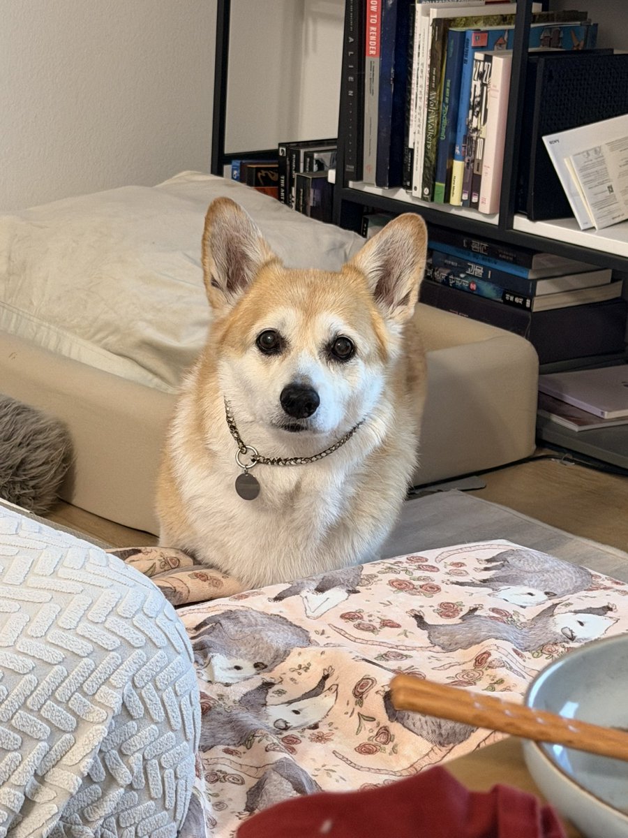 캡틴 일기 tweet media