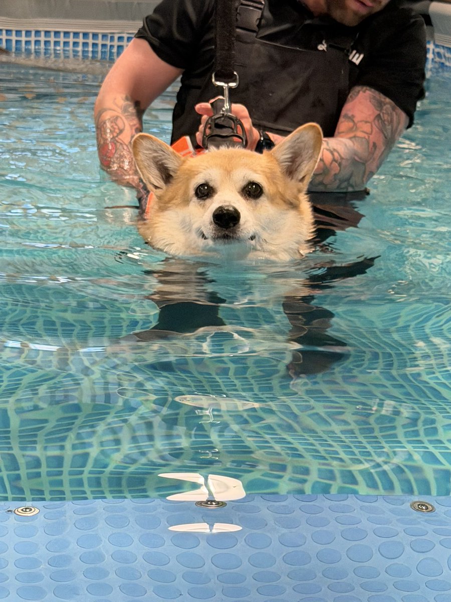 캡틴 일기 tweet media