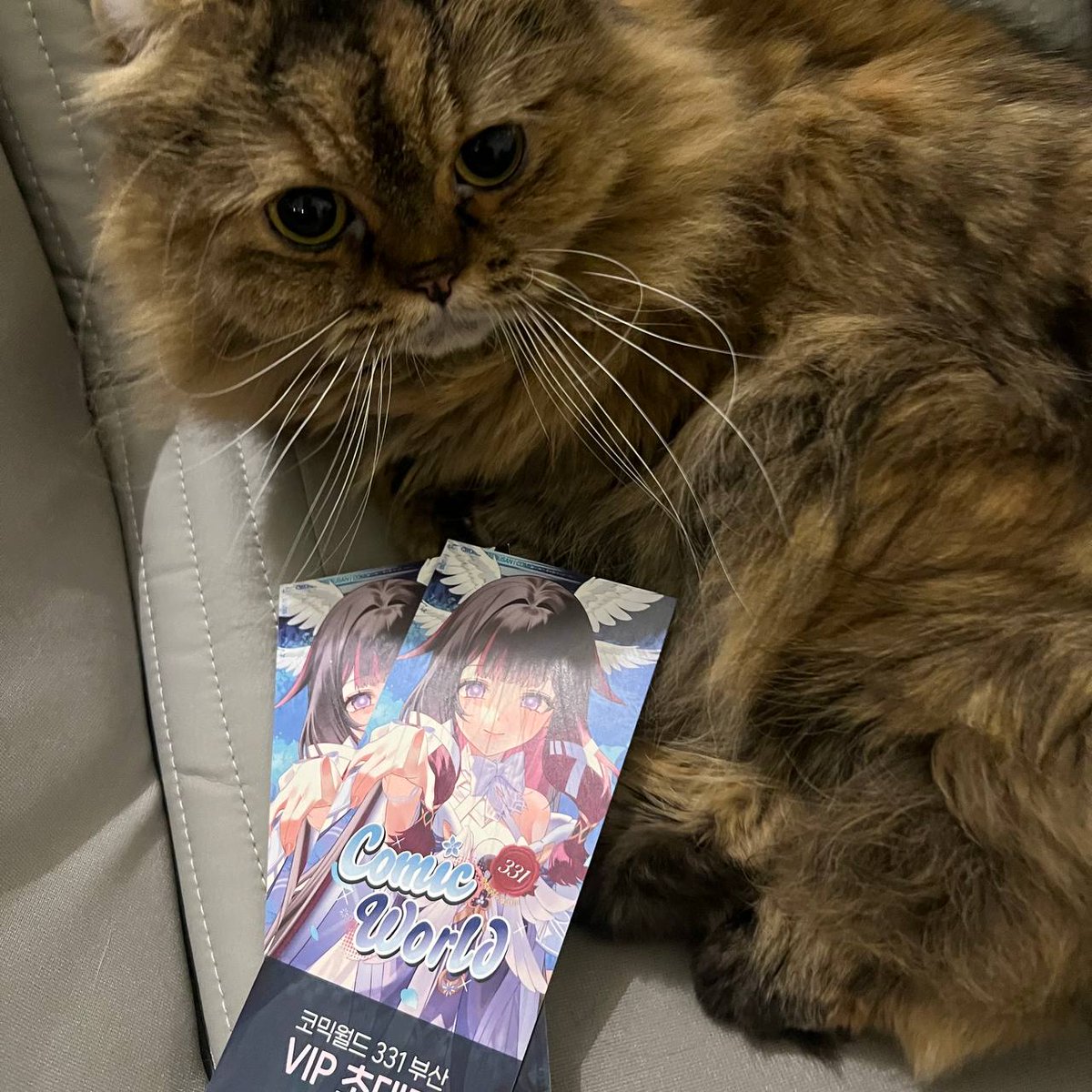 코믹월드 tweet media