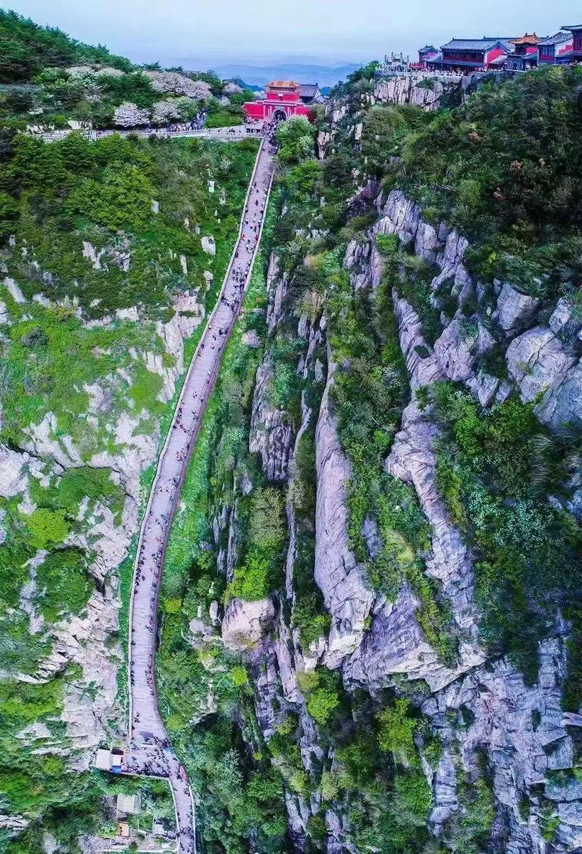 Taian of China tweet media