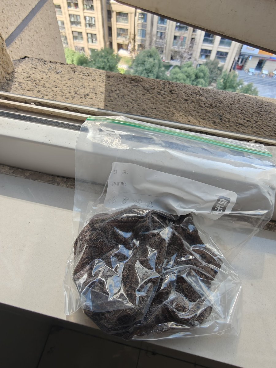 小圆圆 tweet media