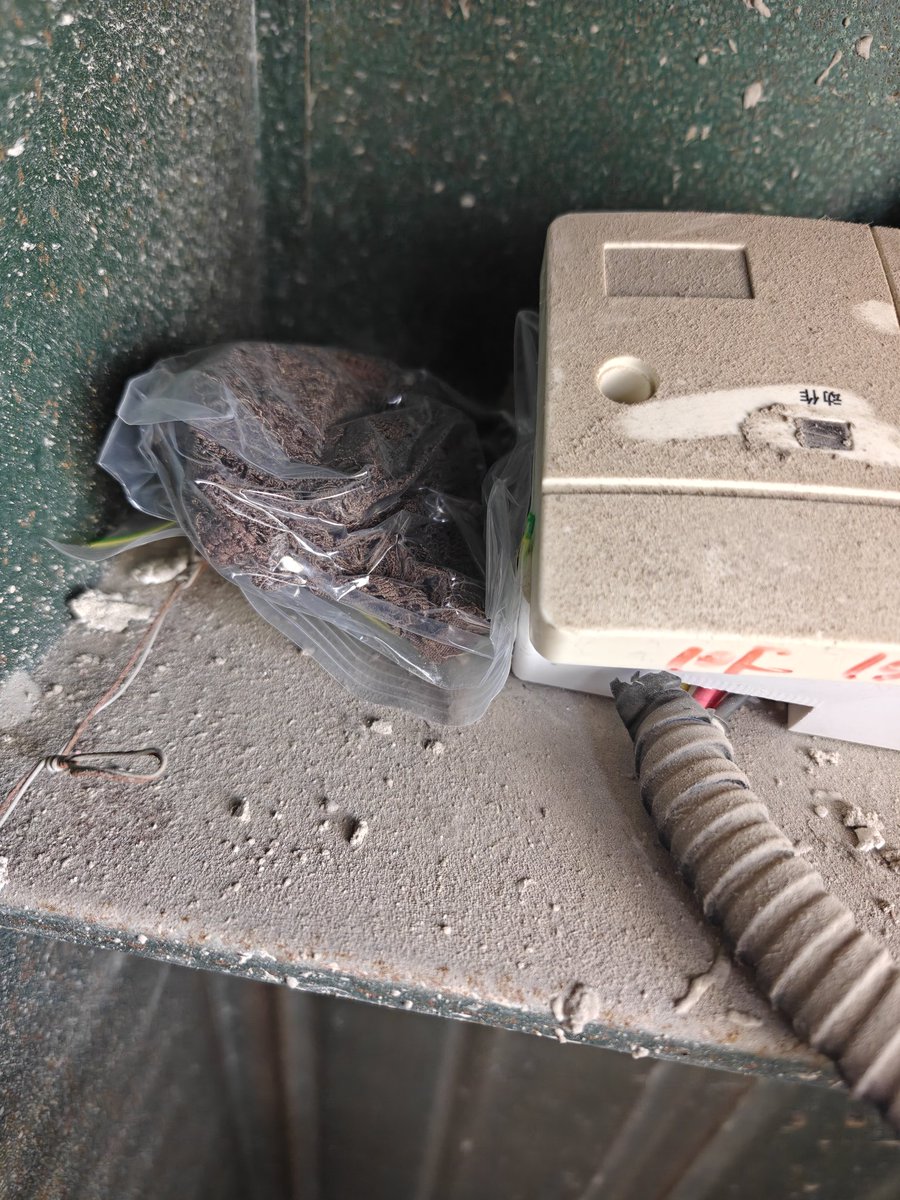 小圆圆 tweet media