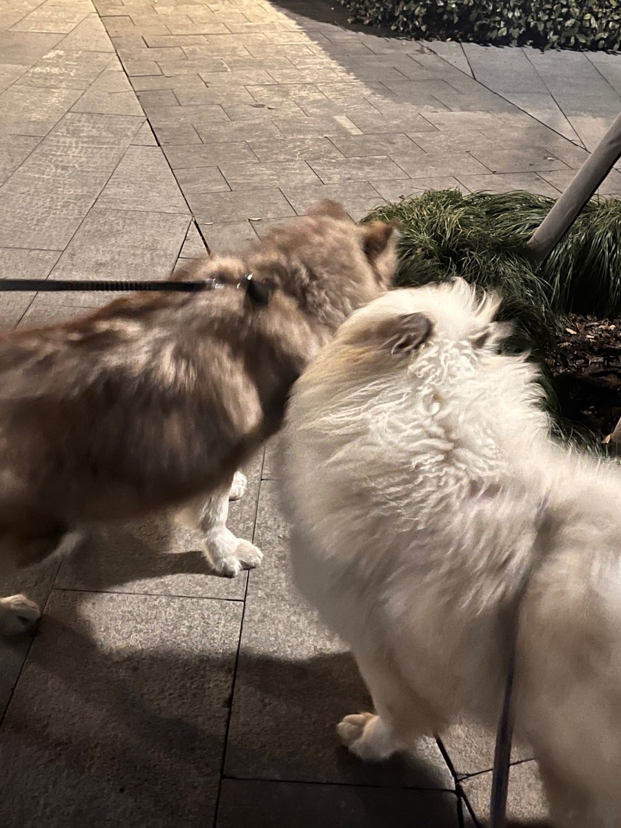 Jerem Ishmael tweet media