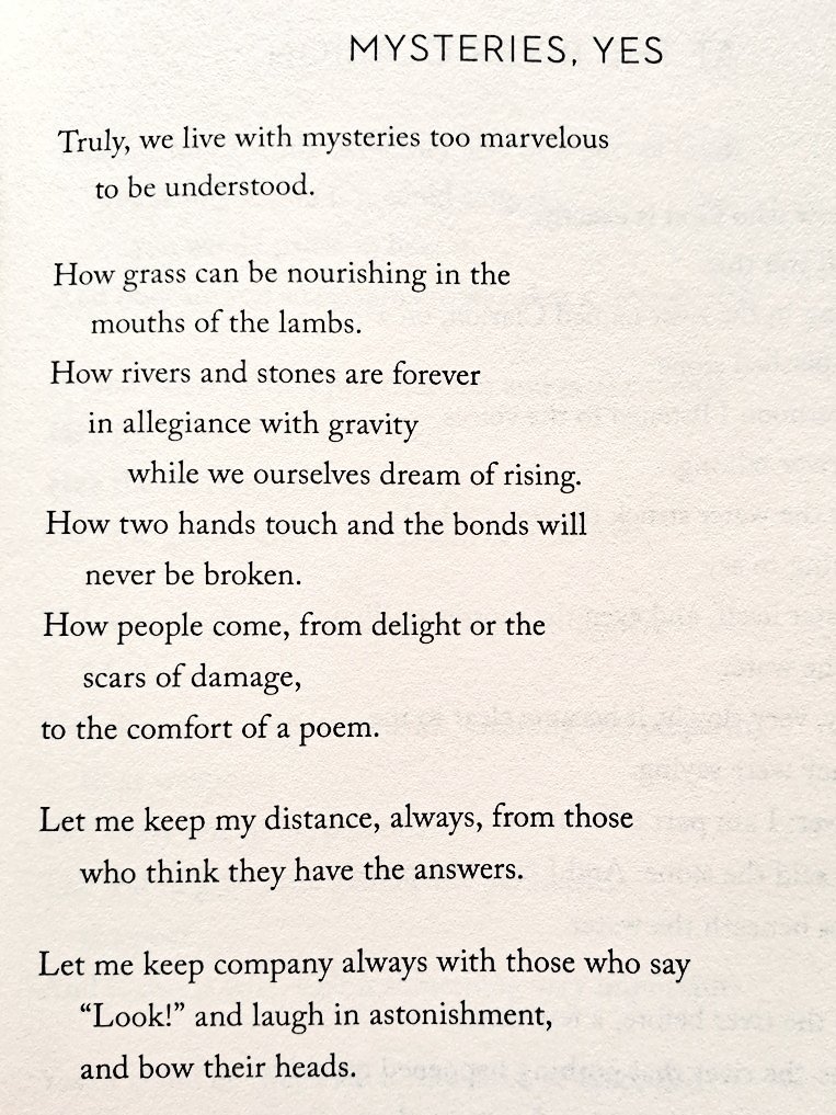 Cian McCarthy tweet media