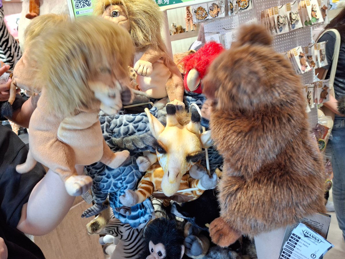 因為一些這樣那樣的原因
總之報上攤ㄌ
2026/5/24布穀町D2
期待跟大家見面😇

以下是製做數量調查表單
我努力帕魯
如果空窗了就當祭壇見面會(X
forms.gle/zKndjhYu6mU7mT…

附圖感謝阿ㄇ一起在動物園出演興奮到模糊ㄉ獅與熊🫡