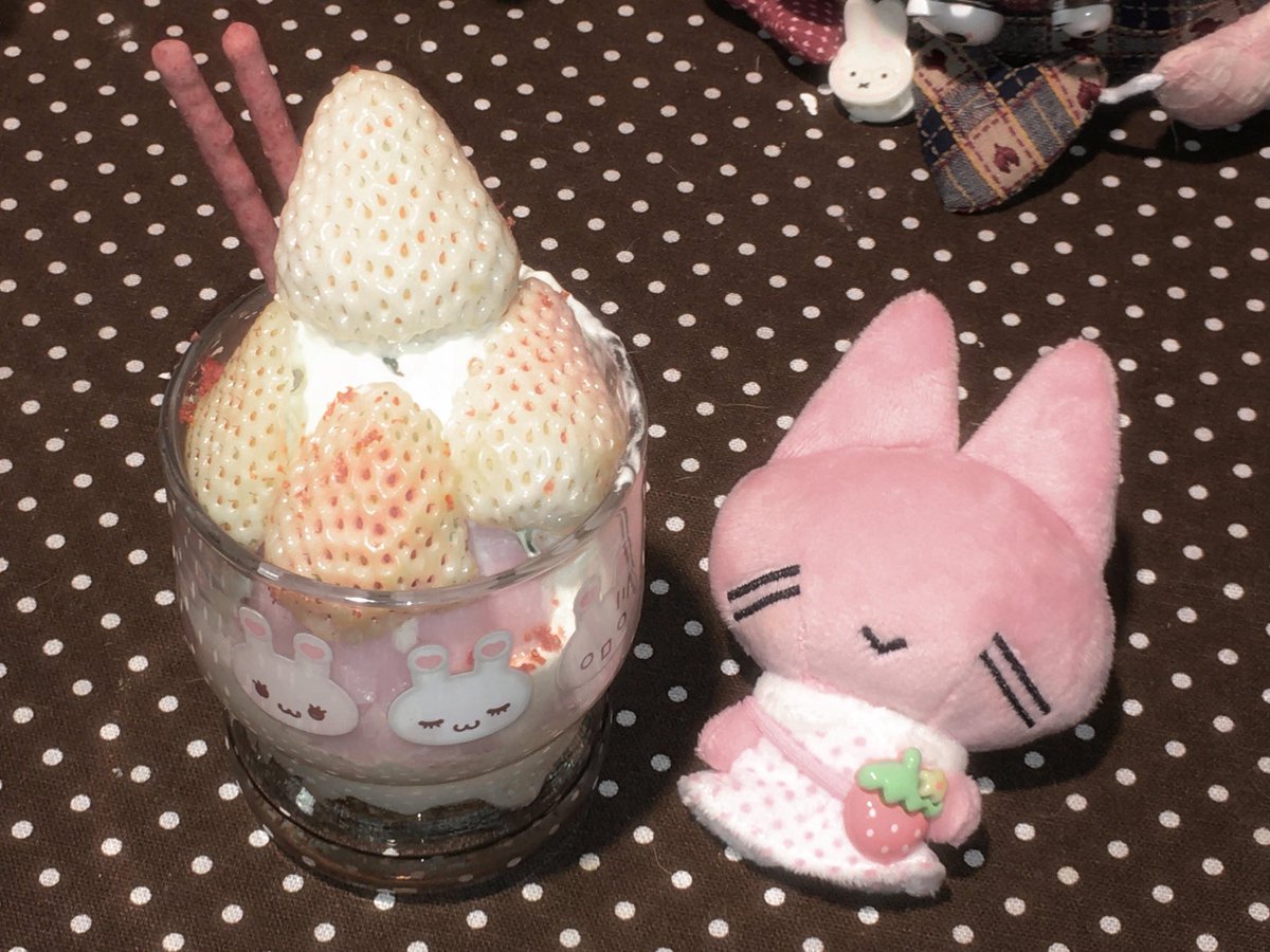 Bread case tweet media