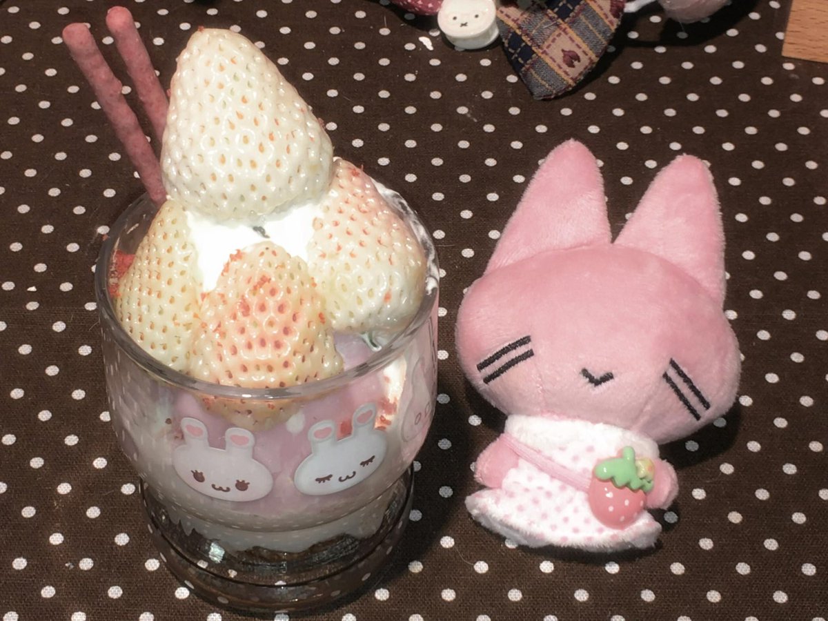 Bread case tweet media