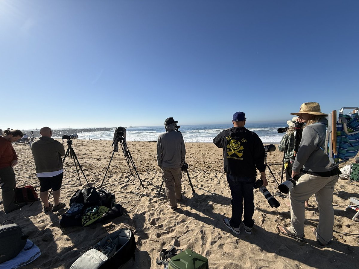 ImASurferDude tweet media