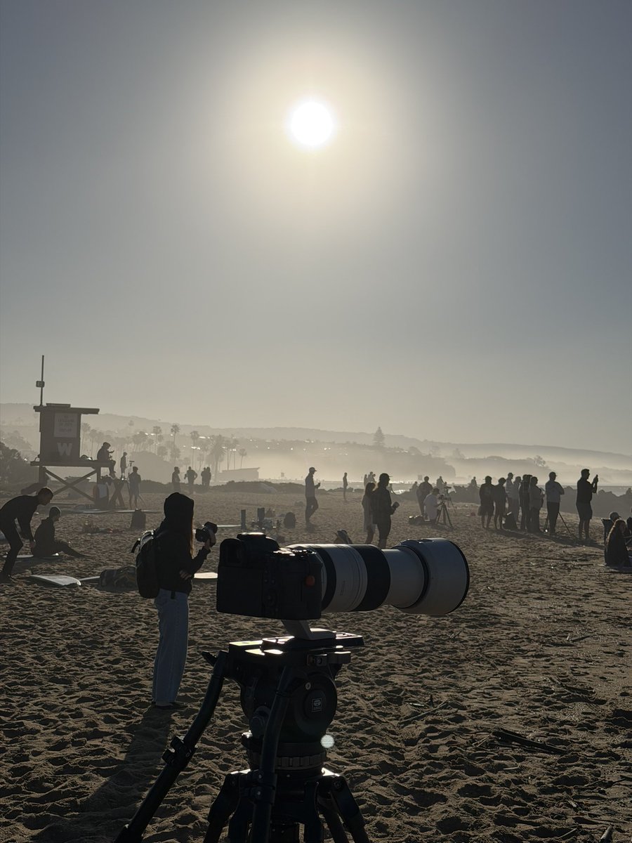 ImASurferDude tweet media