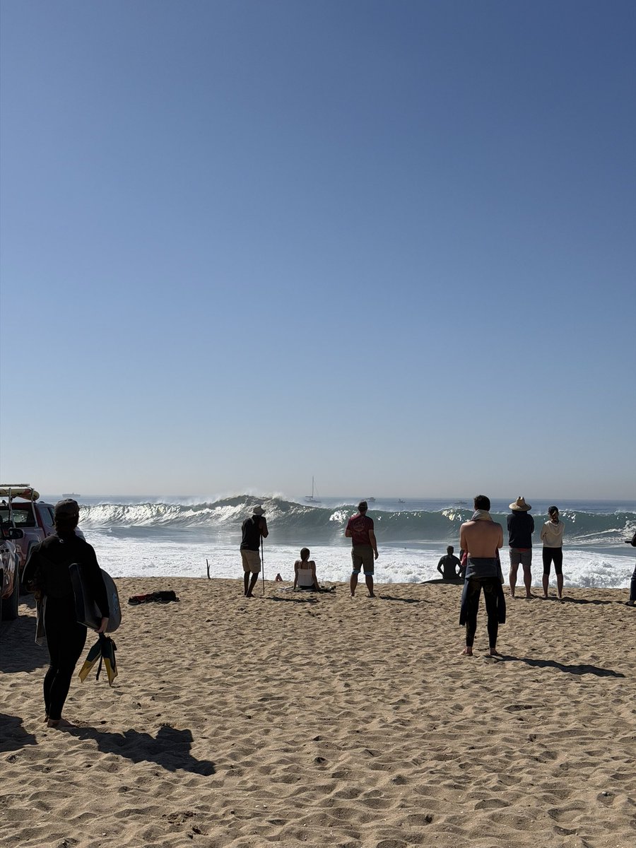 ImASurferDude tweet media