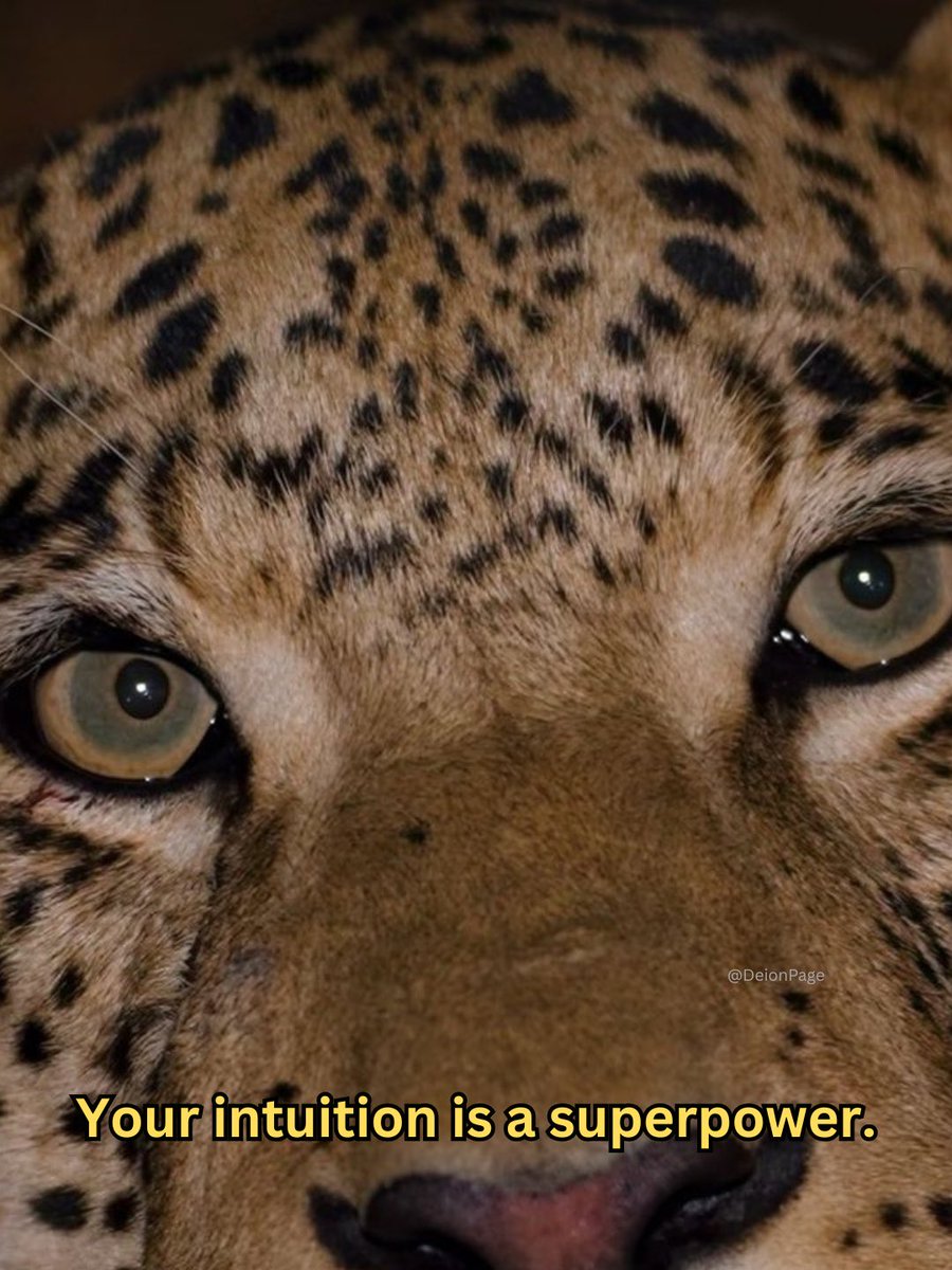 ☥ Yuge Bigly-servant of the Sacred Space🌹 tweet media