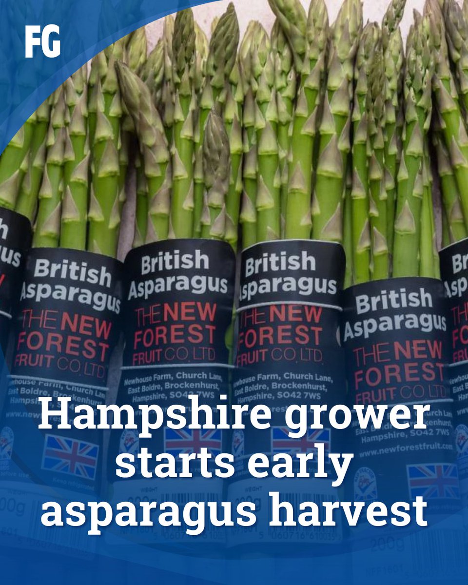 FarmersGuide's tweet image. A Hampshire grower, Sandy Booth of @NewForestFruit, uses recycled coconut husk fibre to produce asparagus six weeks sooner than usual. What’s more, recent double-digit temperatures have boosted production even further 🙌

👉 farmersguide.co.uk/arable/other-c…

#Asparagus #BritishAsparagus