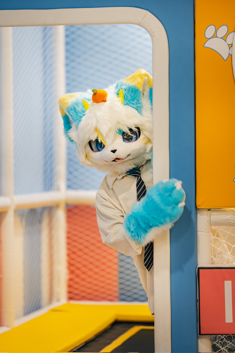 青色的桔子 tweet media