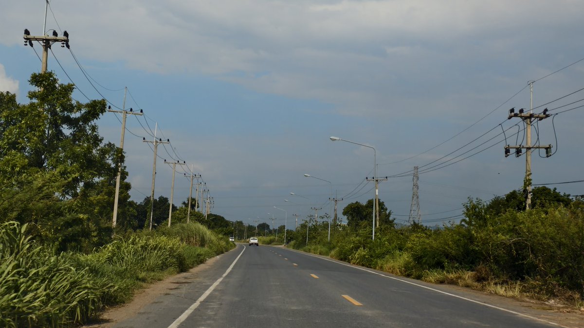 จ้าวป่า tweet media