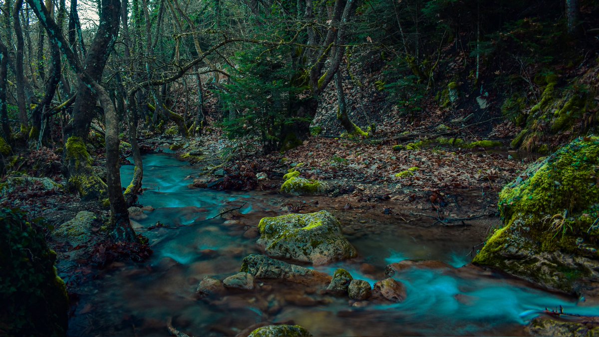 Elias_t 💎 tweet media