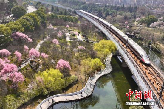 visithefei's tweet photo. On March 13 in Hefei, Anhui, a high-speed train passes a park filled with spring greenery.
The day marked the end of China’s 2026 Spring Festival travel rush.
📸: Han Suyuan / CNS
#TravelinAnhui #ChinaTravel https://t.co/f1VonXGk6O