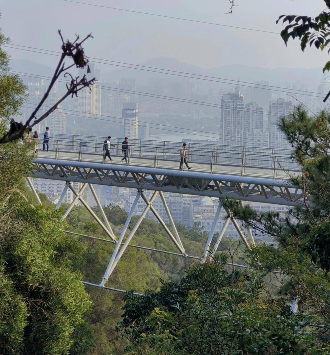 habibur Rahman tweet media