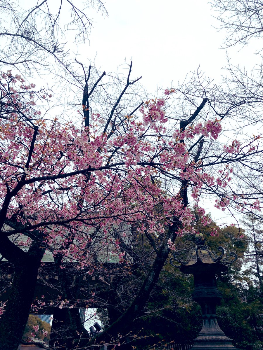 むちょ🐇 tweet media