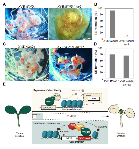 Molecular Plant & Plant Communications tweet media