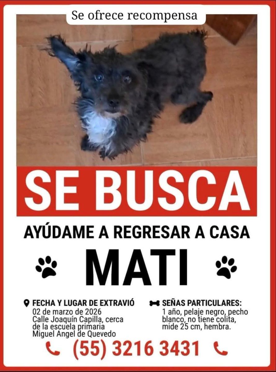 Se busca