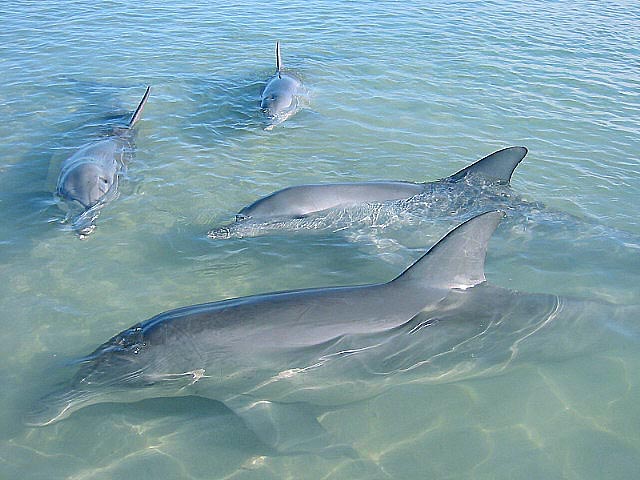 Craig Smith tweet media