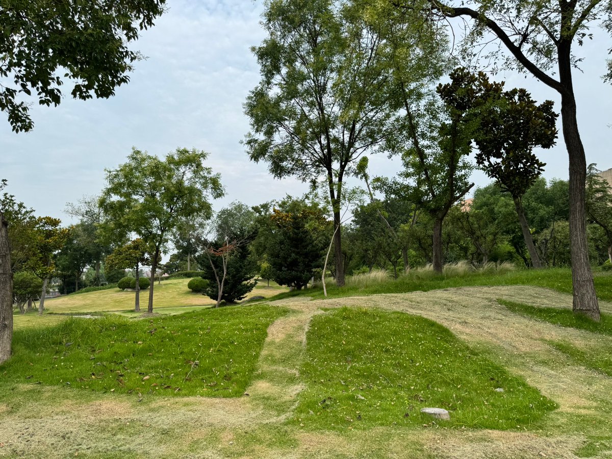 gabriela tweet media