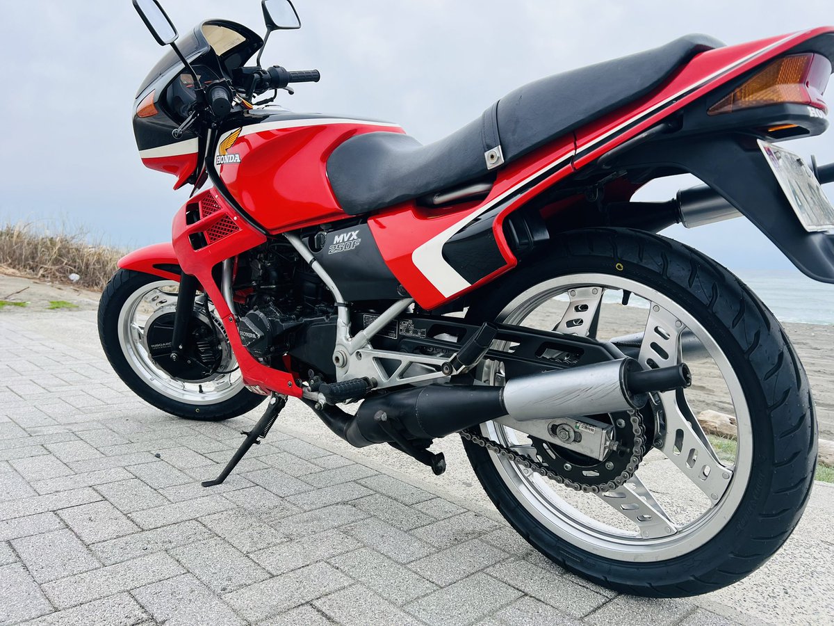 2T PROJECT tweet media