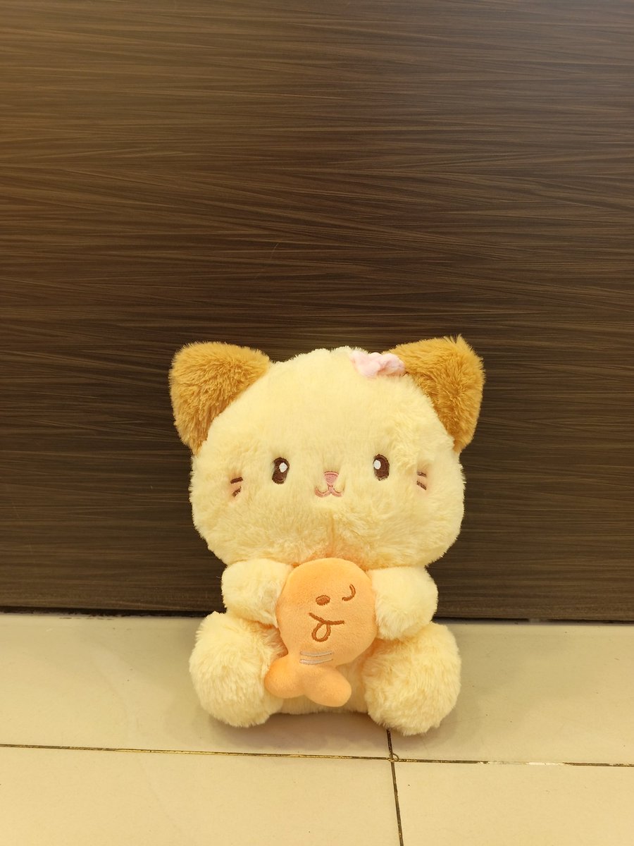 Oyappiii STOPKOL MT after DM tweet media