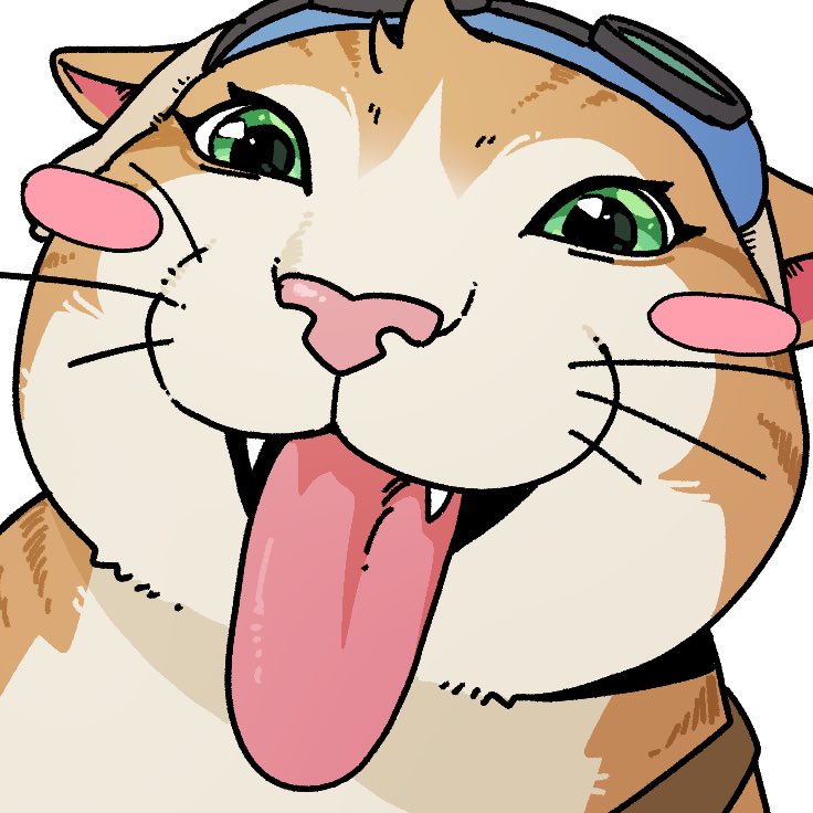 순면팬티도둑 tweet media