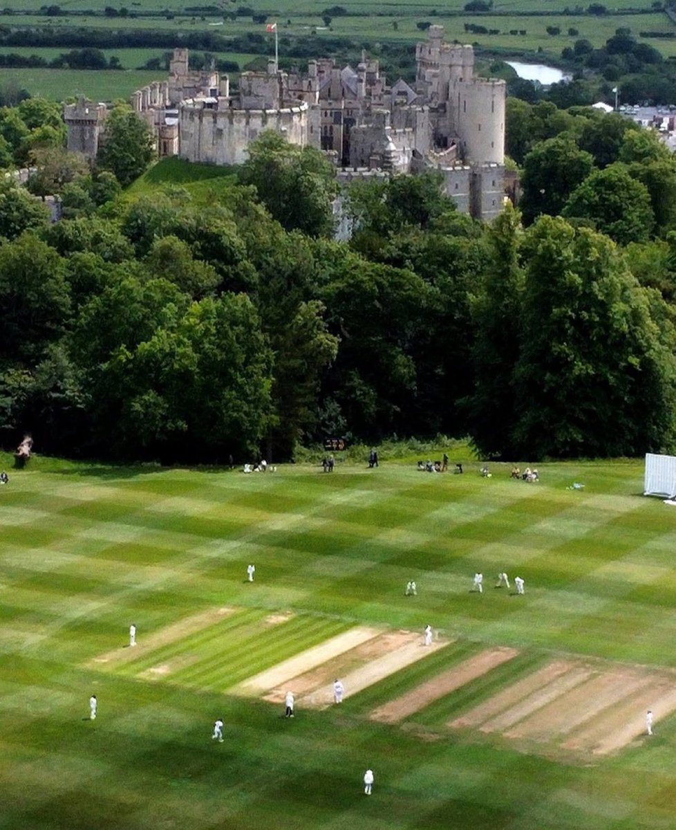 WG RumblePants tweet media