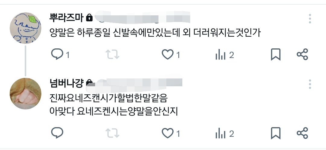 요내회 tweet media