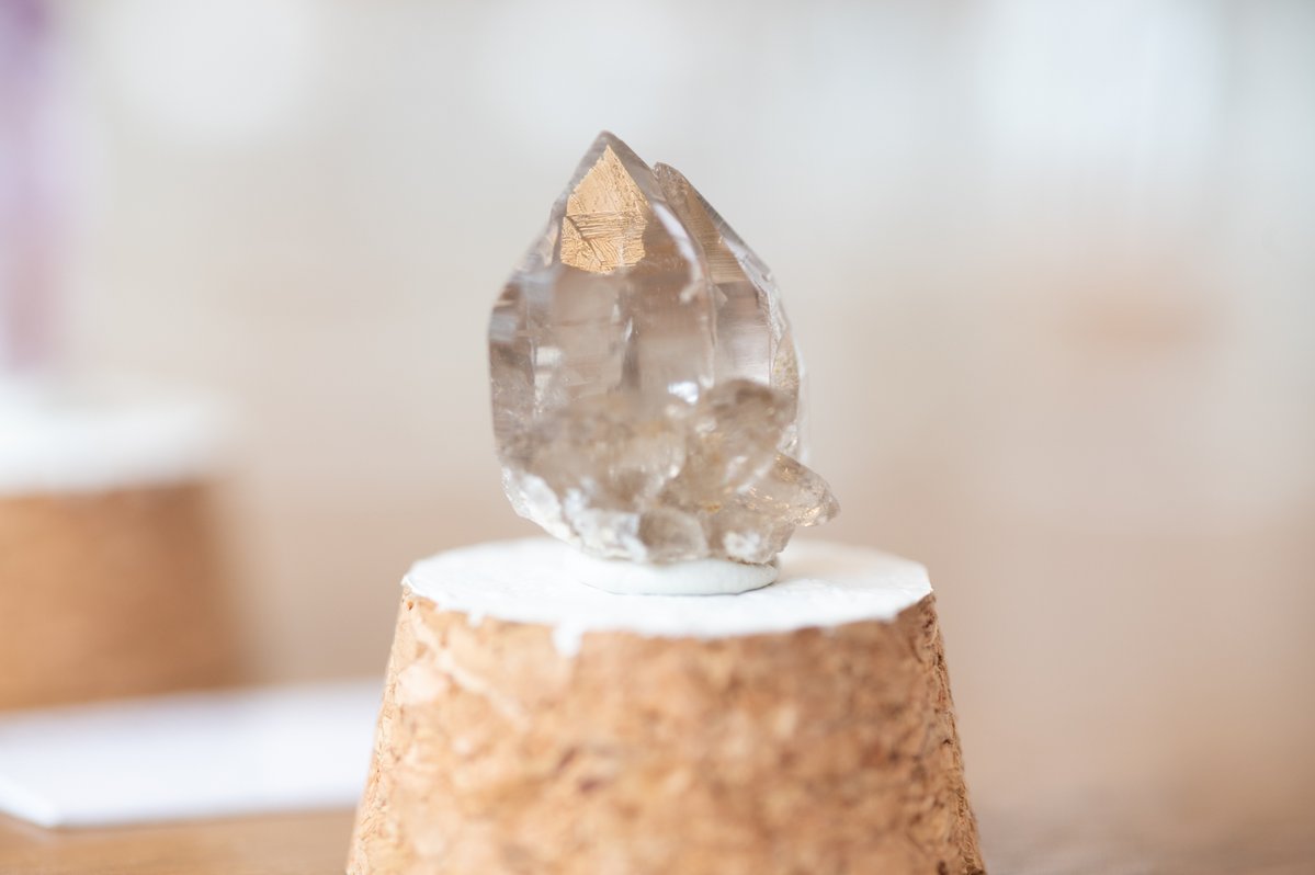 GALLERY IRO tweet media