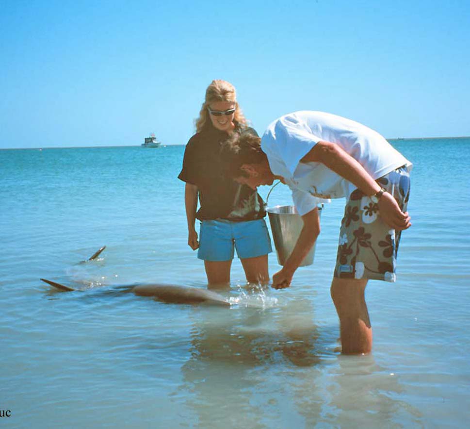 Craig Smith tweet media