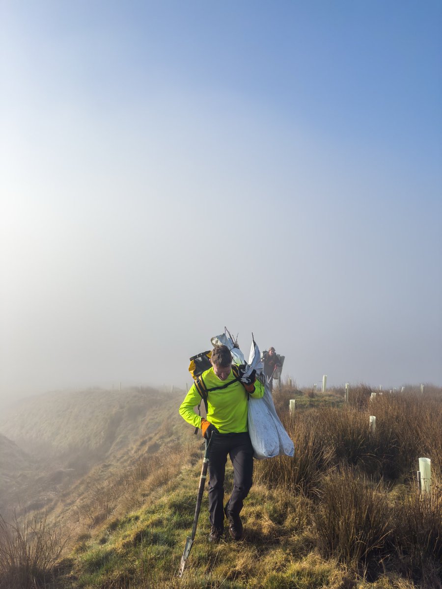 Dan Bell tweet media