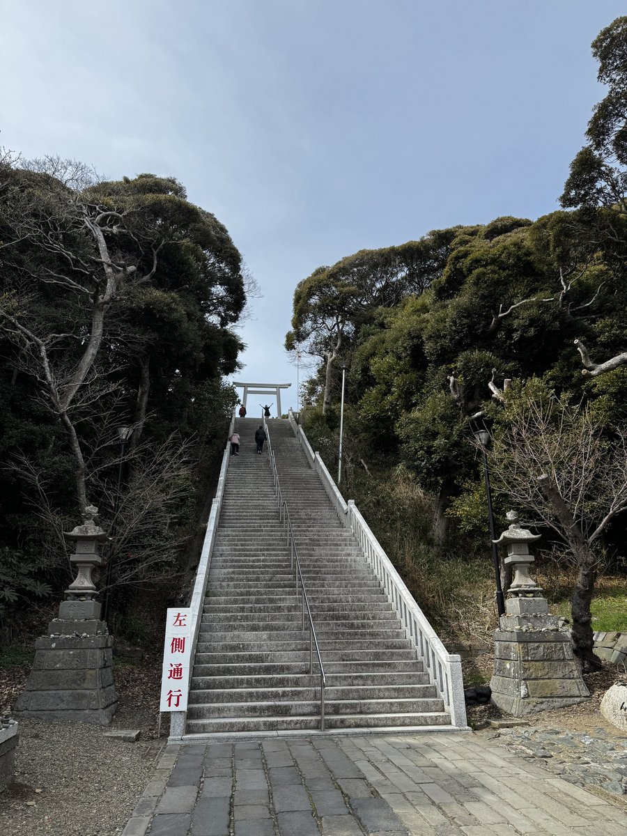 𓅿⑅えむこ𓅿⑅ tweet media