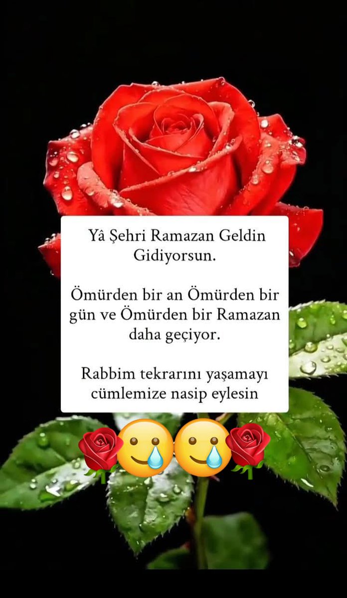 hasan_zini's tweet photo. https://t.co/AkkuDwgm78