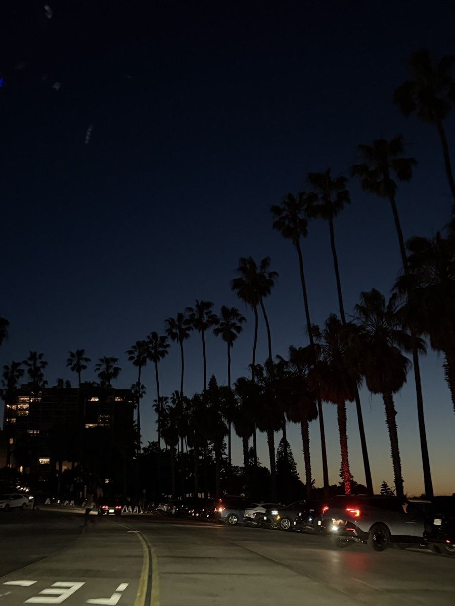 Angie🌸 tweet media