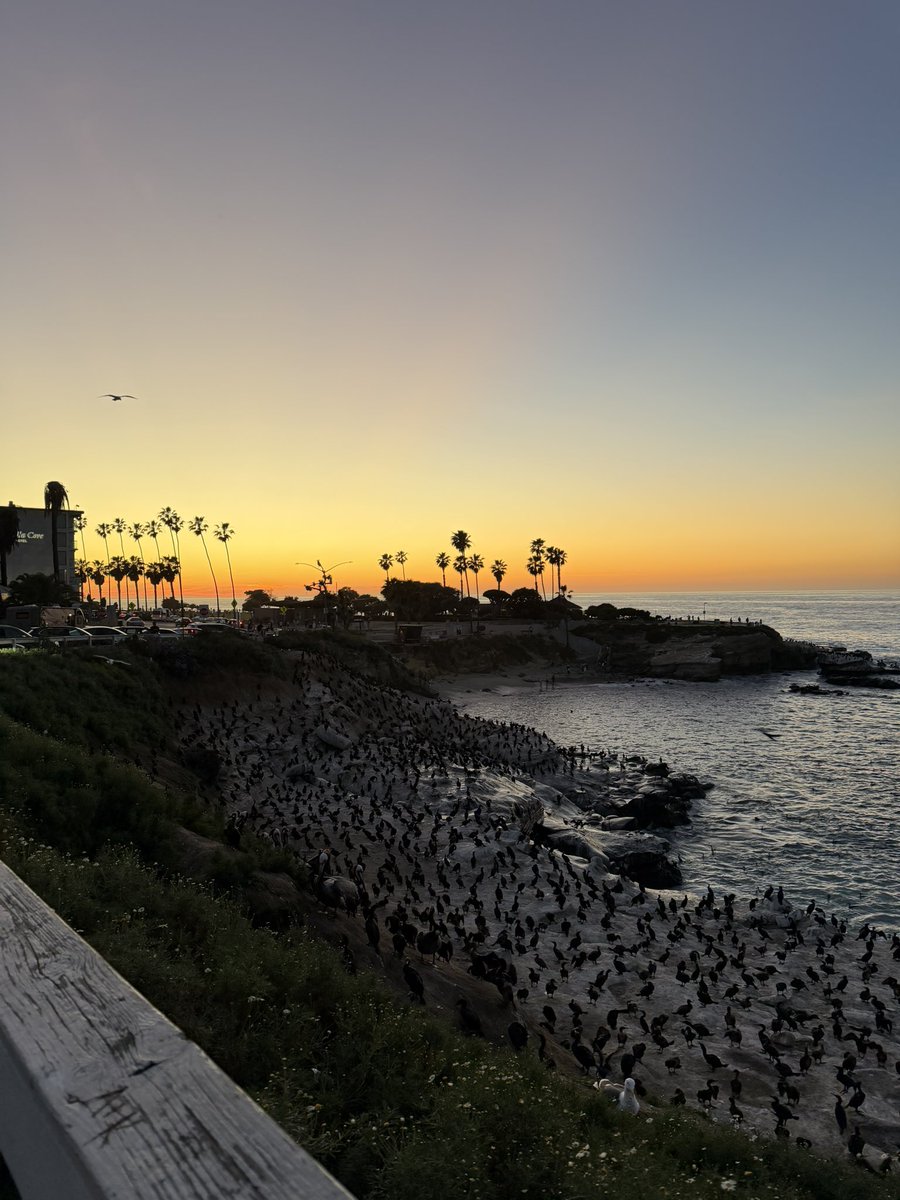 Angie🌸 tweet media