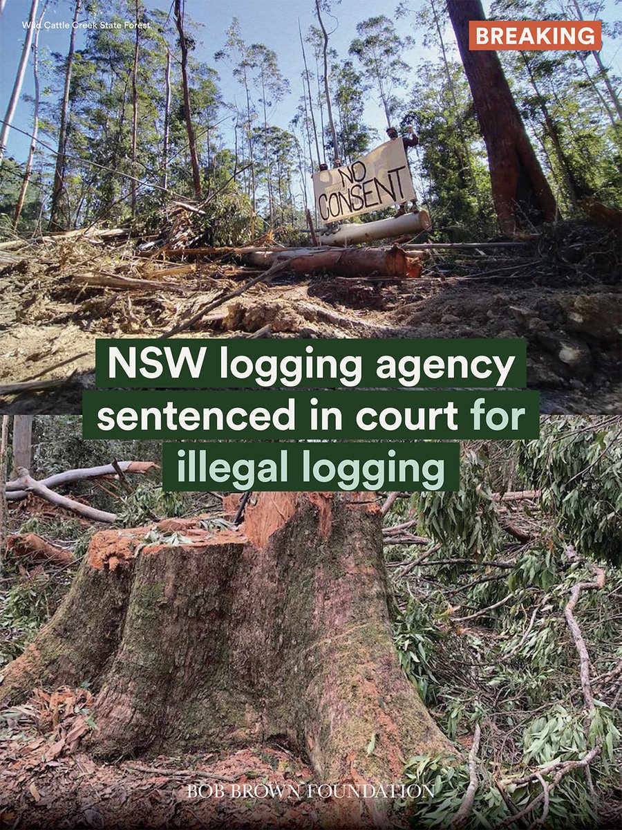 Bob Brown Foundation tweet media