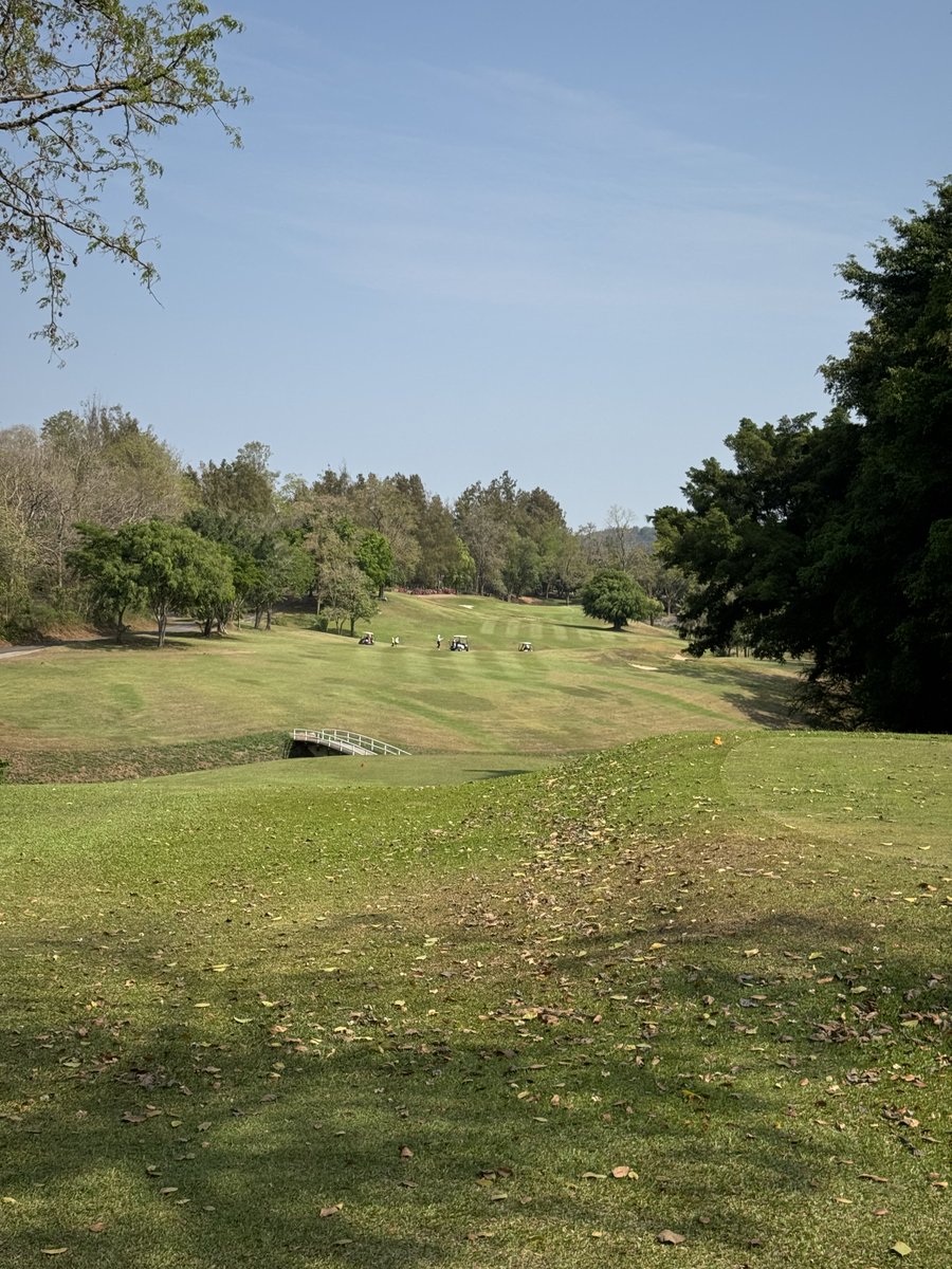 Rex Tattersall tweet media