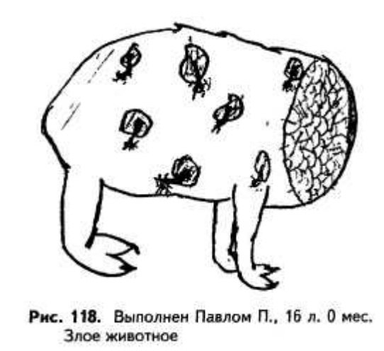 Дары моря tweet media
