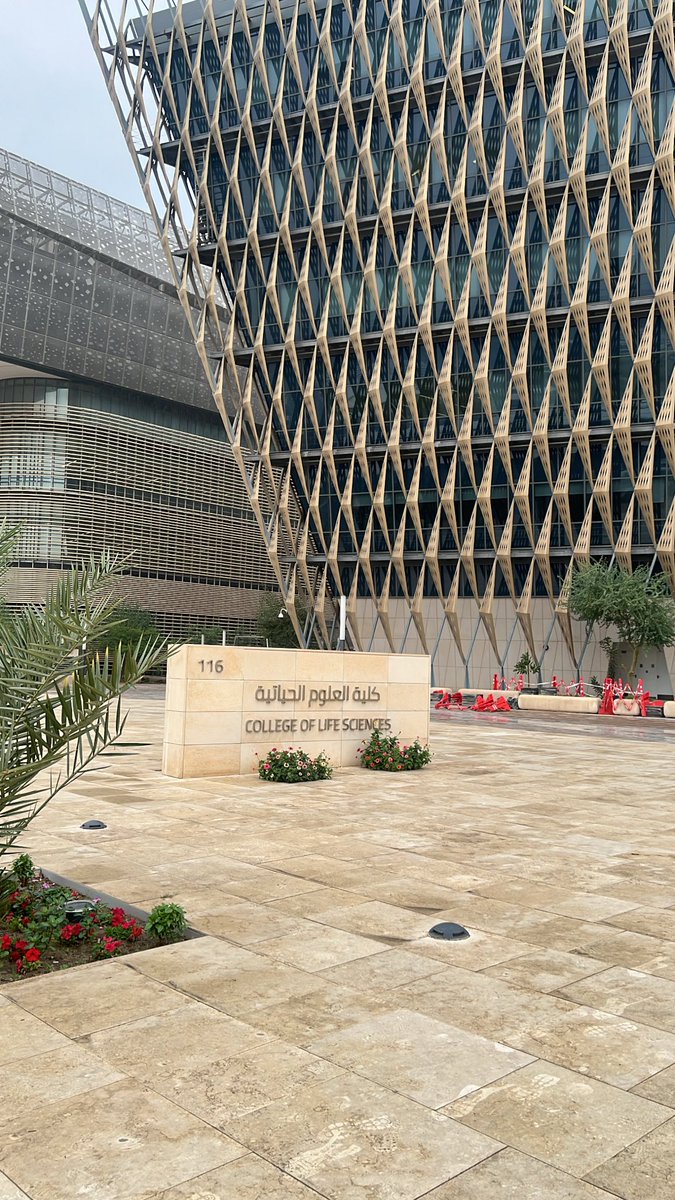 en_l34's tweet photo. I really miss you
[الحياتية] https://t.co/XHOfqfWDFt